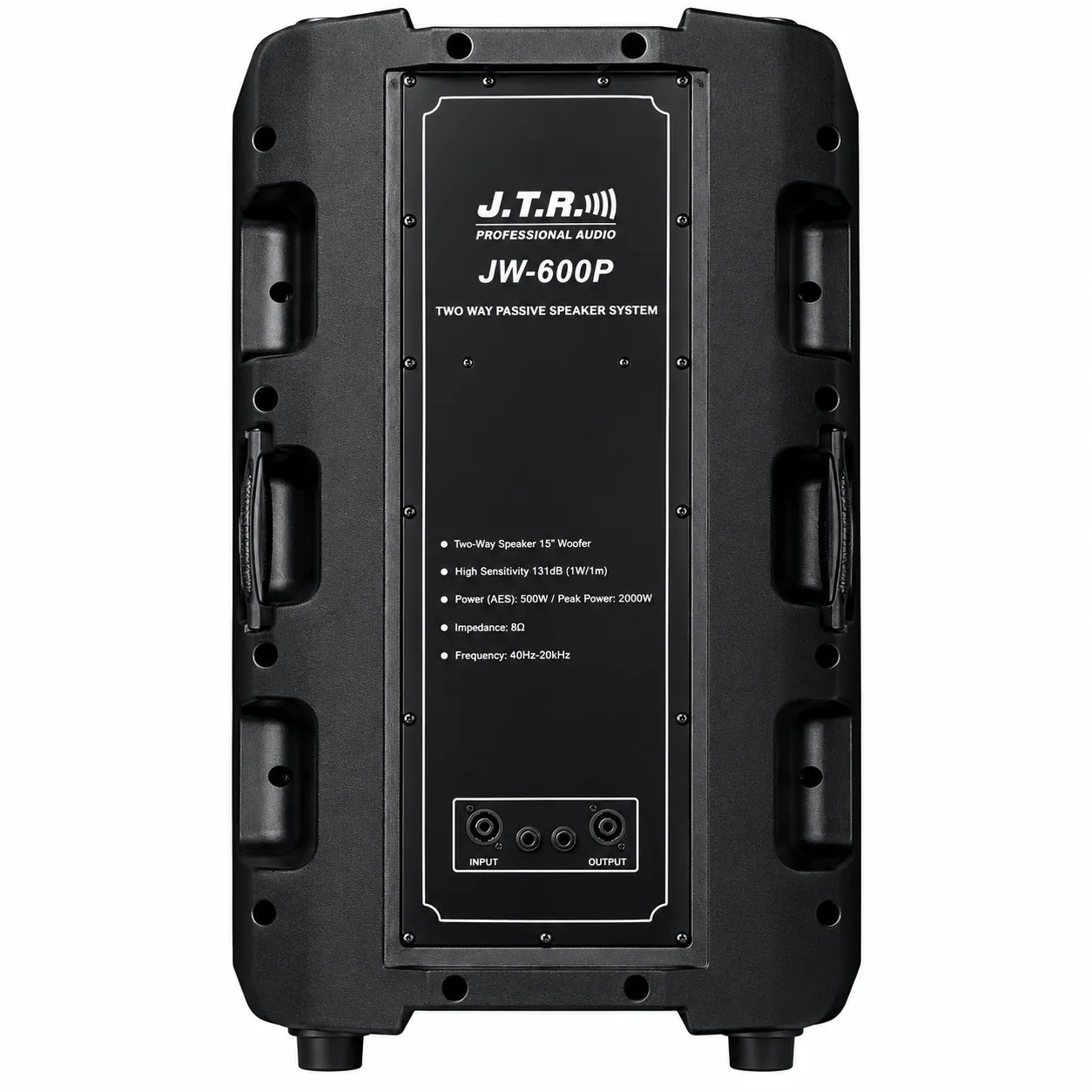 Rear View Professional Audio Speaker.jpg